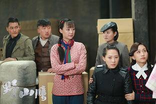 电视剧野山鹰全集在线观看,烽火岁月中的英雄传奇  第2张